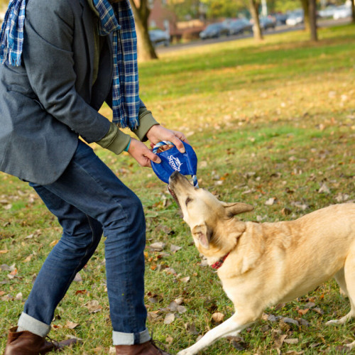 Fetch-It Dog Toy
