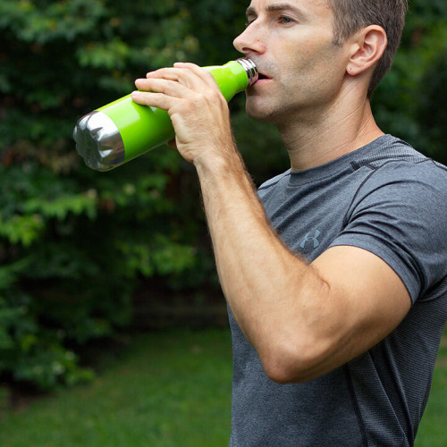 Prism 17 oz Vacuum Insulated Stainless Steel Bottle