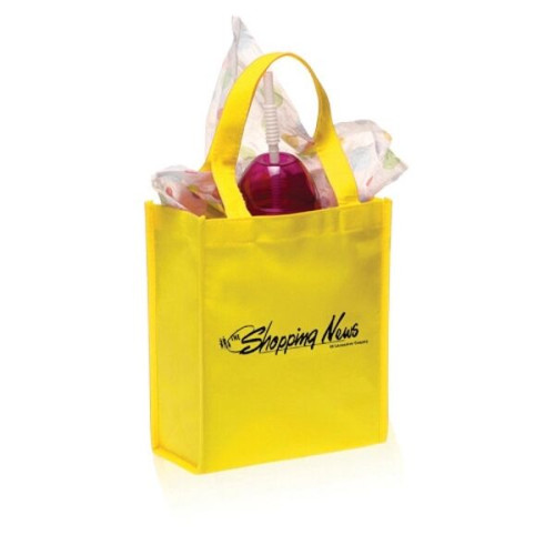Non-Woven Small Gift Bags