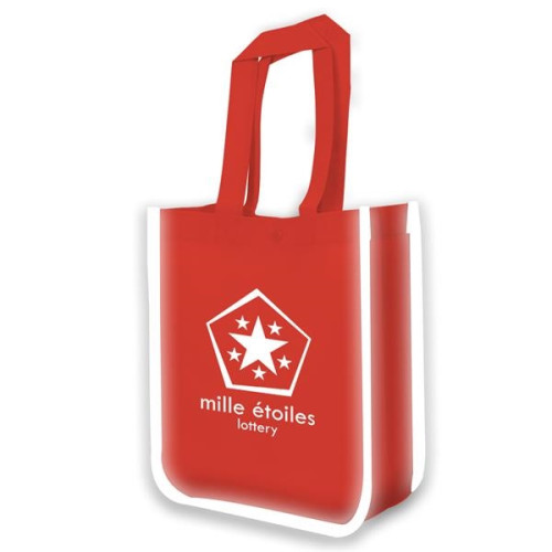 Reflective Lunch Tote Bag