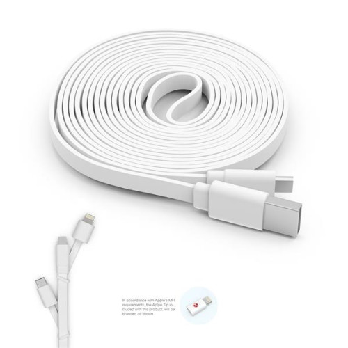 10 Foot Branded Triple Tip Cable