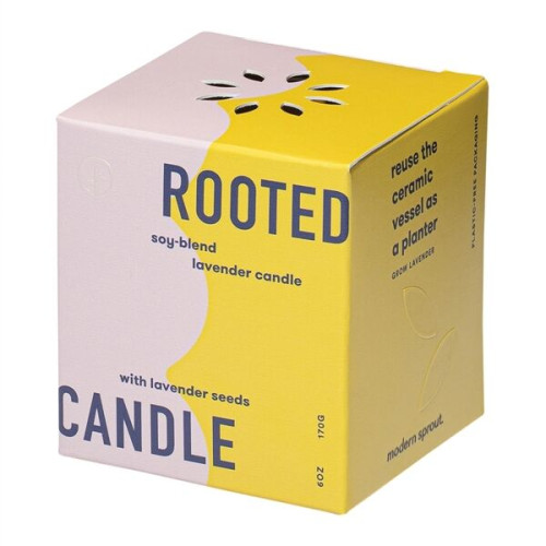Modern Sprout® Rooted Candle