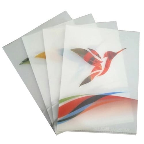 Plastic File Folder