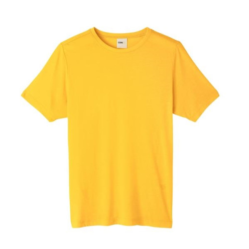 Adult Fusion ChromaSoft Performance T-Shirt