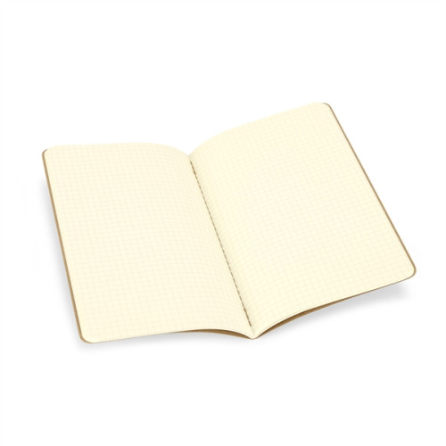 Moleskine® Cahier Squared Large Journal