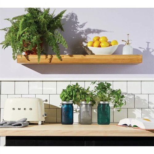 Modern Sprout® Indoor Herb Garden Kit EverythingBranded Canada