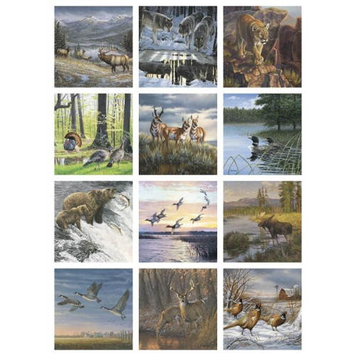 Triumph® Calendars Wildlife Art Calendar