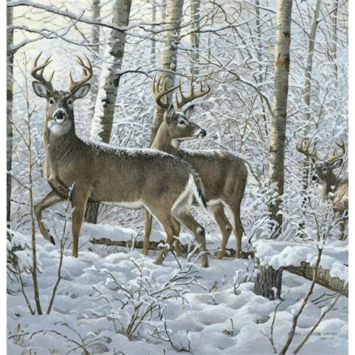 Triumph® Calendars Wildlife Art Calendar