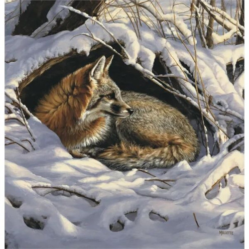 Triumph® Calendars Wildlife Art Calendar