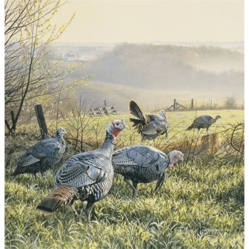 Triumph® Calendars Wildlife Art Calendar