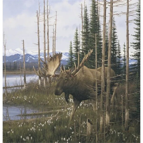 Triumph® Calendars Wildlife Art Calendar