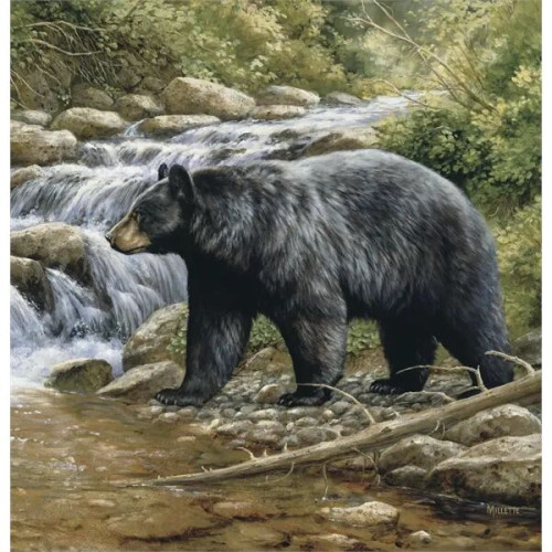 Triumph® Calendars Wildlife Art Calendar