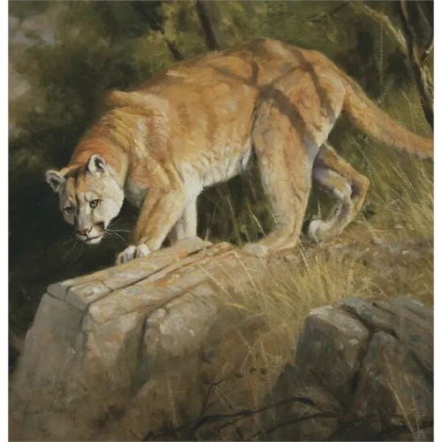 Triumph® Calendars Wildlife Art Calendar