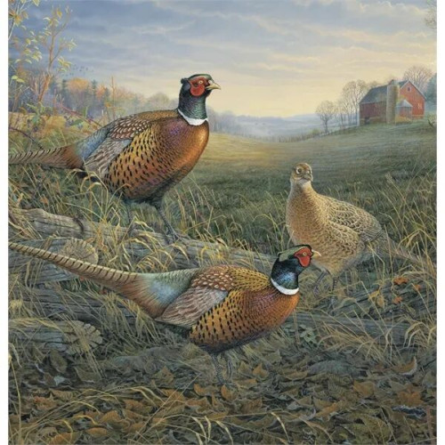 Triumph® Calendars Wildlife Art Calendar