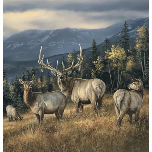Triumph® Calendars Wildlife Art Calendar