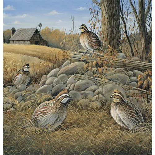 Triumph® Calendars Wildlife Art Calendar