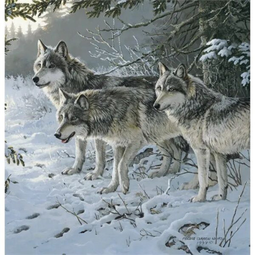 Triumph® Calendars Wildlife Art Calendar
