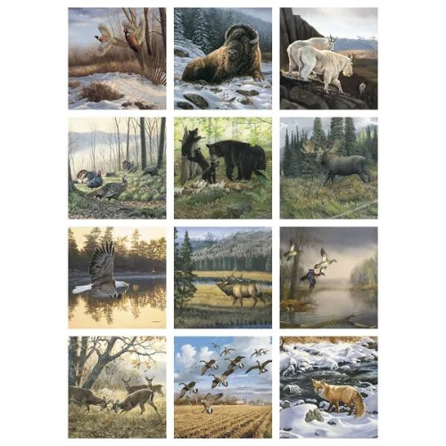 Triumph® Calendars Wildlife Art Calendar