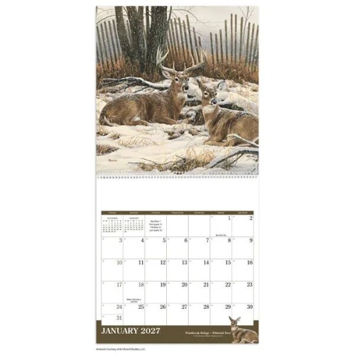 Triumph® Calendars Wildlife Art Calendar