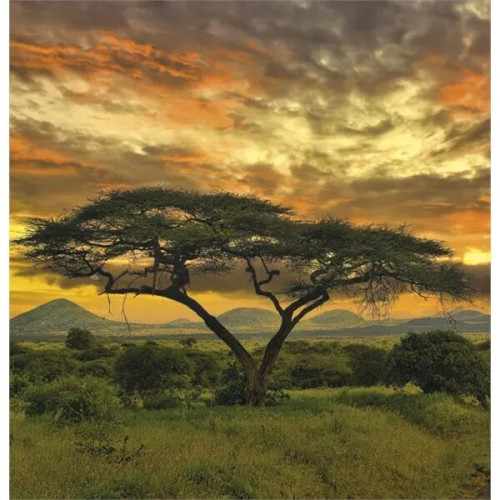 Triumph® Calendars World Scenic Calendar