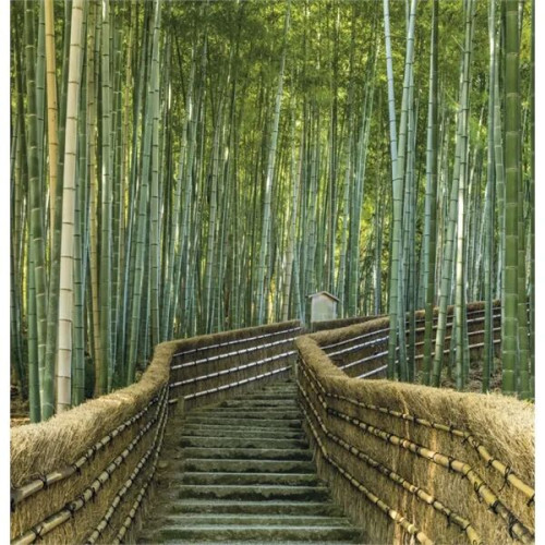 Triumph® Calendars World Scenic Calendar
