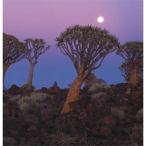 Triumph® Calendars World Scenic Calendar
