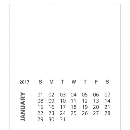 Business Card Magnet with 12-Sheet Calendar