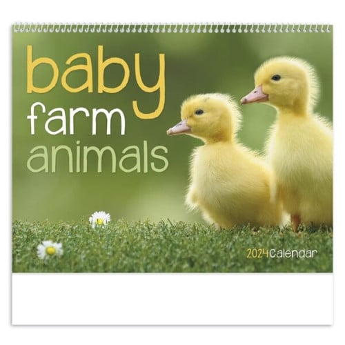 Baby Farm Animals - Spiral