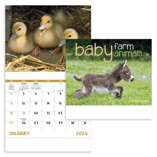 Good Value™ Baby Farm Animals - Stapled Calendar