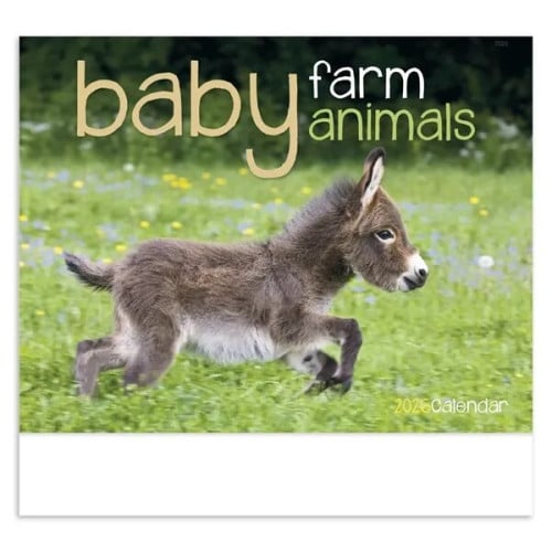 Good Value™ Baby Farm Animals - Stapled Calendar