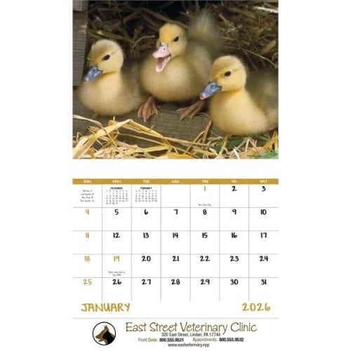 Good Value™ Baby Farm Animals - Stapled Calendar