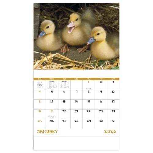 Good Value™ Baby Farm Animals - Stapled Calendar