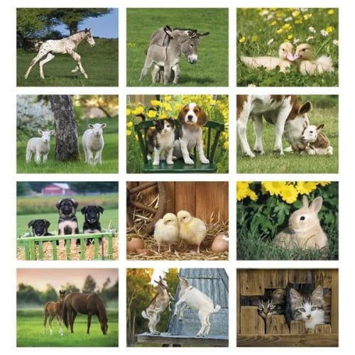 Good Value™ Baby Farm Animals - Stapled Calendar