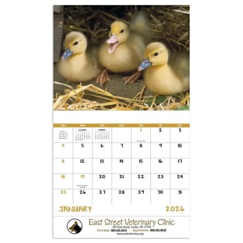 Good Value™ Baby Farm Animals - Stapled Calendar