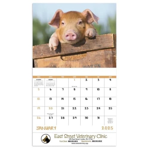 Good Value™ Baby Farm Animals - Stapled Calendar