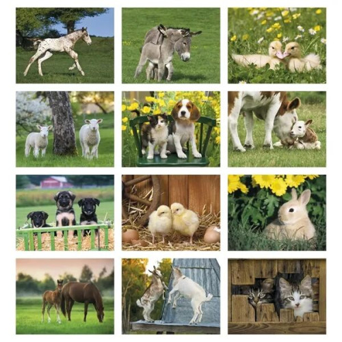 Good Value™ Baby Farm Animals - Stapled Calendar