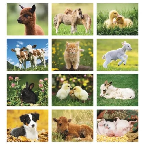 Good Value™ Baby Farm Animals - Stapled Calendar