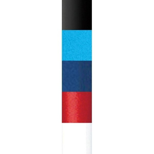BIC® PrevaGuard® Clic Stic® Pen