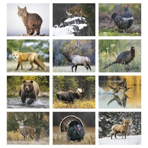 Products Wildlife Appointment Calendar - Stapled