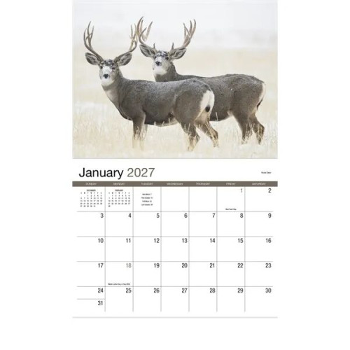 Products Wildlife Appointment Calendar - Stapled