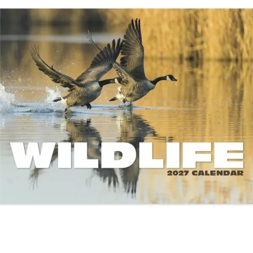 Products Wildlife Appointment Calendar - Stapled