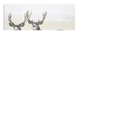 Products Wildlife Appointment Calendar - Stapled