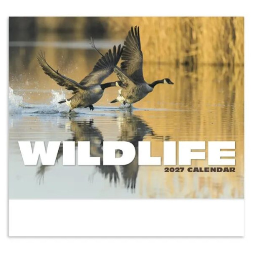Products Wildlife Appointment Calendar - Stapled
