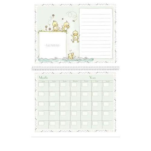 Triumph® Calendars Baby's First Year by Rachelle Anne Miller