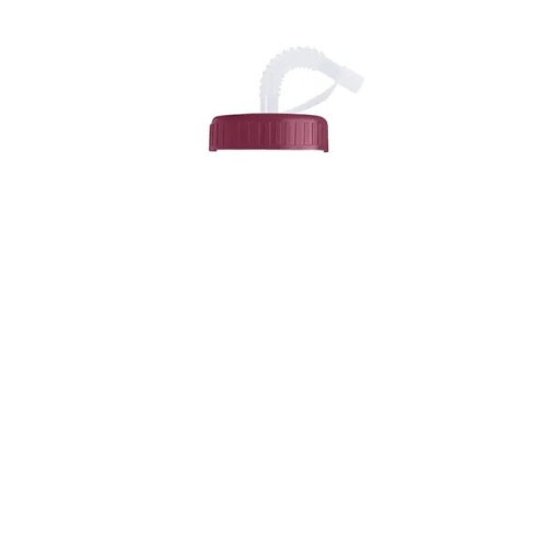 Garyline® Slim Fit Water Bottle With Straw Lid - 24 oz.