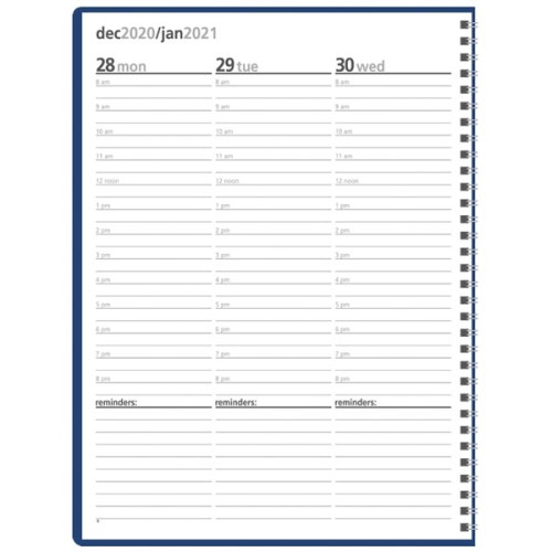 Triumph® Calendars Monthly & Weekly Planner