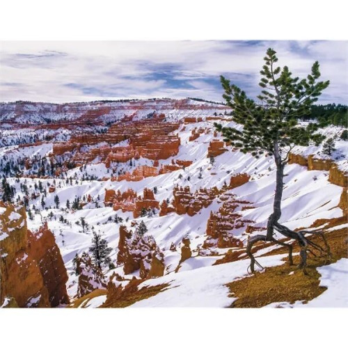 Good Value™ Landscapes of America - Spiral Calendar