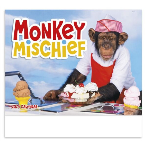 Monkey Mischief - Stapled