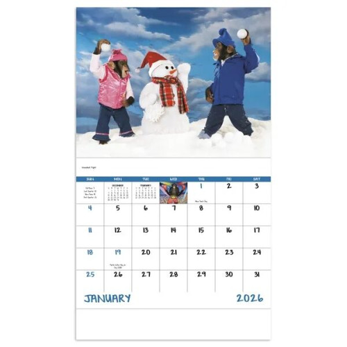 Good Value™ Monkey Mischief - Stapled Calendar