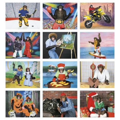 Good Value™ Monkey Mischief - Stapled Calendar